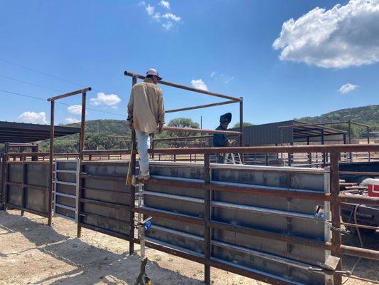 Constructing cattle pens