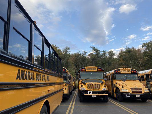 Offering School Bus and 7D transportation for schools and events!