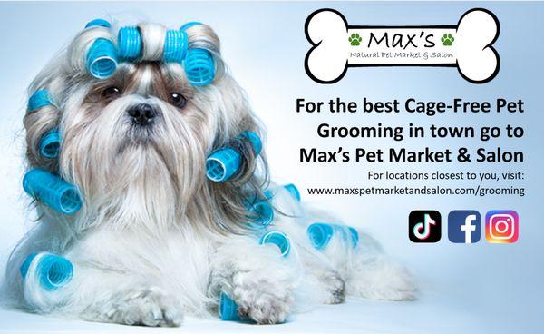 Looking for the best cage free grooming in Tampa?  Give us a call at 813-591-5368 to reserve your pup's spa date today!