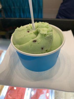 Food- Mint Chocolate Chip (Two Scoops)