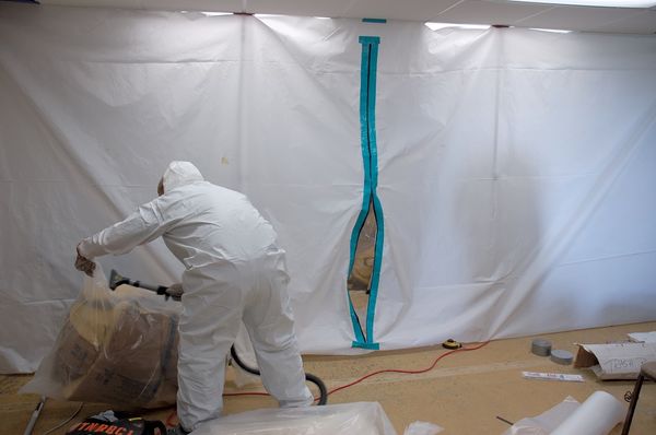 Professional and licensed mold removal team.