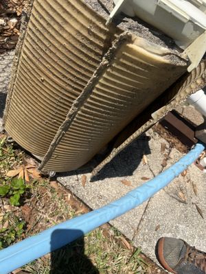 Filter caked with sediment and debris which caused blow back into pool and algae to form