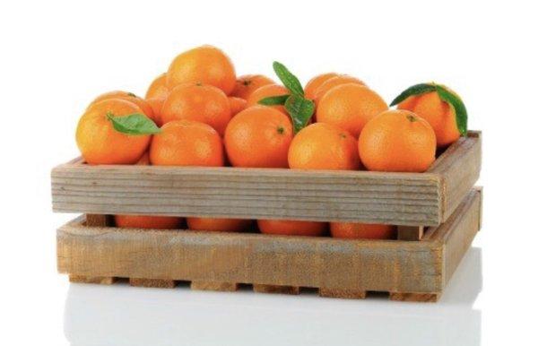 Book your Fall California Citrus Fundraisers now!