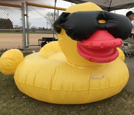 Get your ducks for Father Hennepin Days