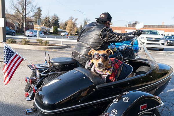 Because of course you'd expect to see a dog in a motorcycle at HealthStop.