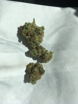 Today's Sativa special: Tangie