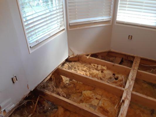 Mold in Trailer Home