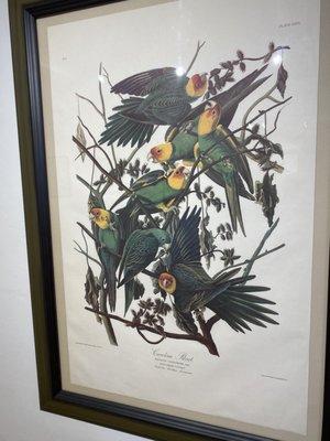 Free exhibition on of Nature behavior prints from very famous folks including Audubon and Marie Sibylla Merien! Thru beginning April 2023