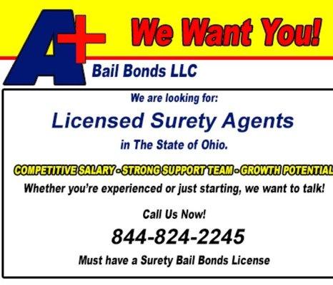 Bail Bondsman in Reading