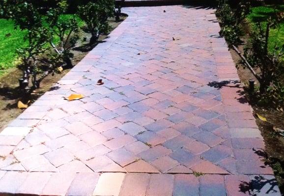 Brick Designed Colored Walkway