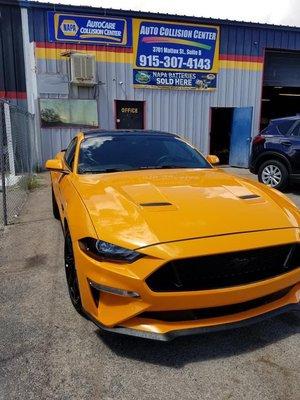 2019 Mustang GT