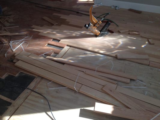 Vertex's Hardwood Floors