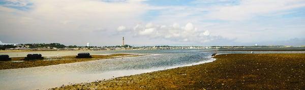 Provincetown from the flats.