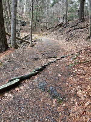 Raymondskill Creek trail