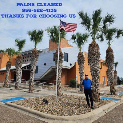 Palms cleaned 956-522-4135 Thanks for choosing us 956-522-4135