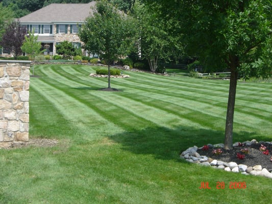 Lawn Mowing service - Doylestown, PA