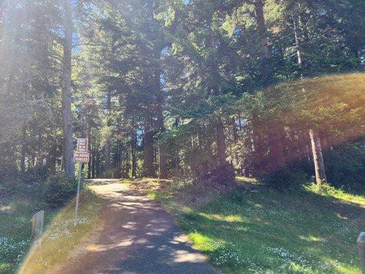 Absolutely beautiful paved trail that's almost all shade. There's some incline areas.