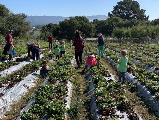 Field trip to Live Earth Farm