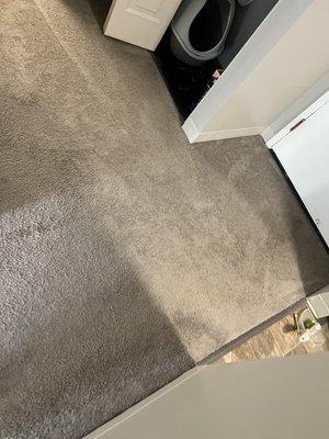 Clean carpet