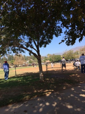 Softball field