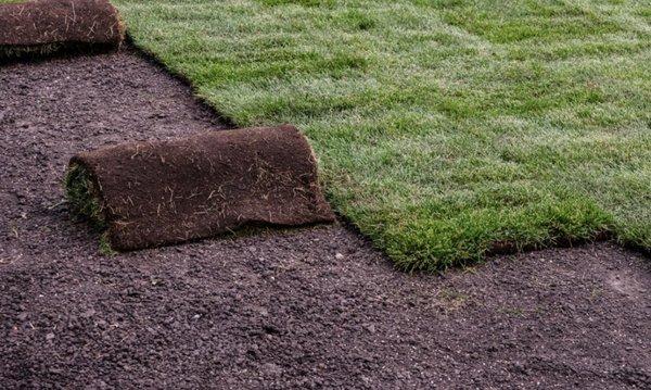 Laying sod