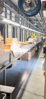 Design build, automation, conveyors and material handling