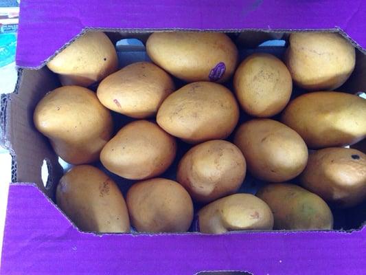 It's mango season!!! Bought a whole box of sweet mangos. So happy :-)