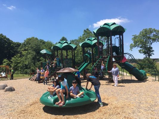 Huge playground to run and roam!