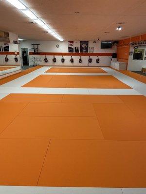 Dojo mats