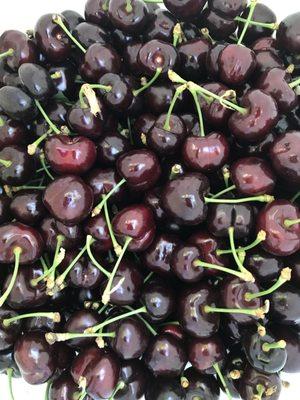 Freshly picked cherries  from Maggiore Ranch