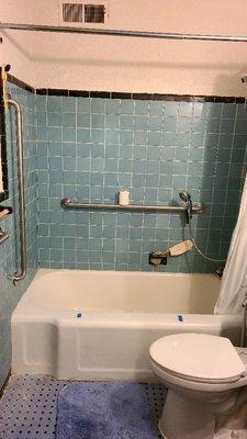 Bath tub grab bars