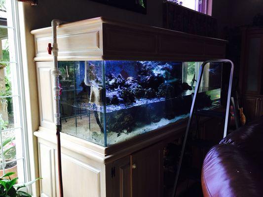 Big tanks, big water changes.