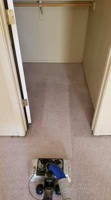 Residential Carpet