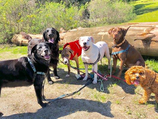 Happy for the sun! Group Hike Adventure