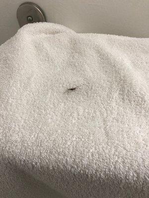 Hair on towel