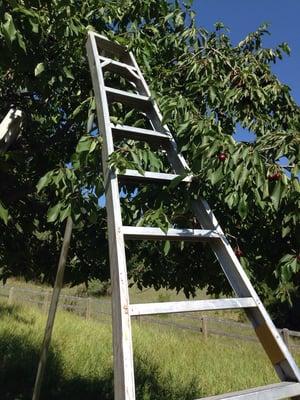 Bring steady shoes to climb the ladders.