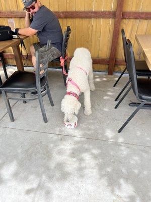 Outside seating and best of all dog friendly.