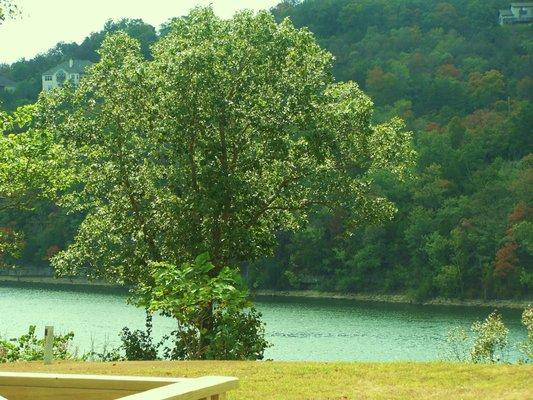 View of Table Rock Lake