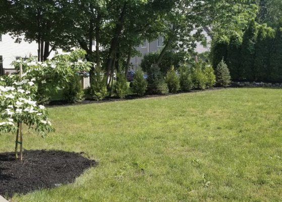 DeBonis Excavation & Landscaping