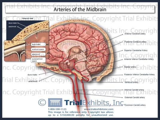 Medical Illustrations