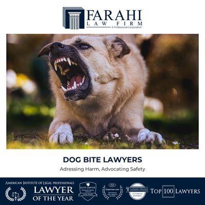 Dog Bite Lawyers