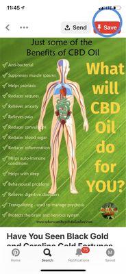 What can CBD do for you?