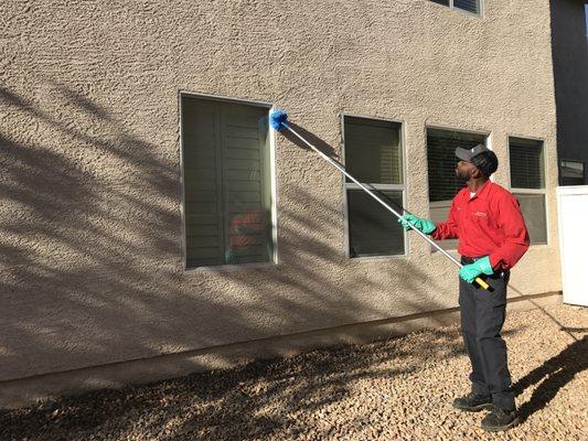 Spider Web and Wasp Nest Removal