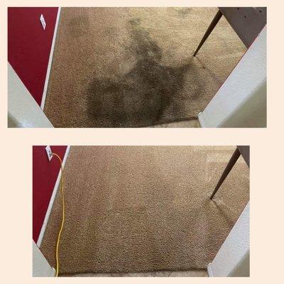 Before and after of another heavily soiled carpet