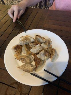 Fried pork and green onion dumplings