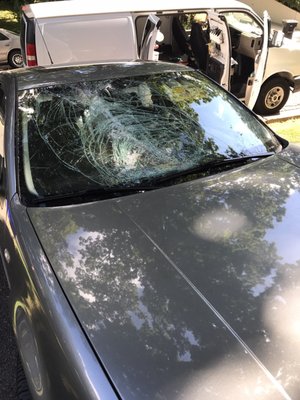 2005 VW , a tree fell and got the best of this one. Not to worry!