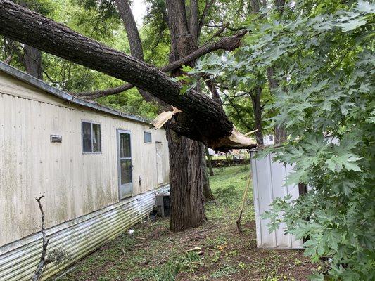 Storm cleanup