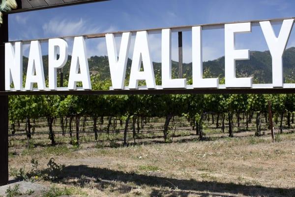 Come visit the Napa Valley and the 400+ incredible wineries with tasting rooms!