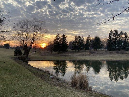 Lake algae and weed control