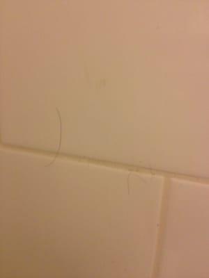 Hair on shower walls